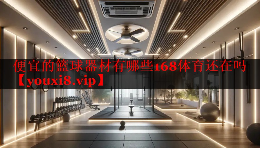 便宜的篮球器材有哪些168体育还在吗