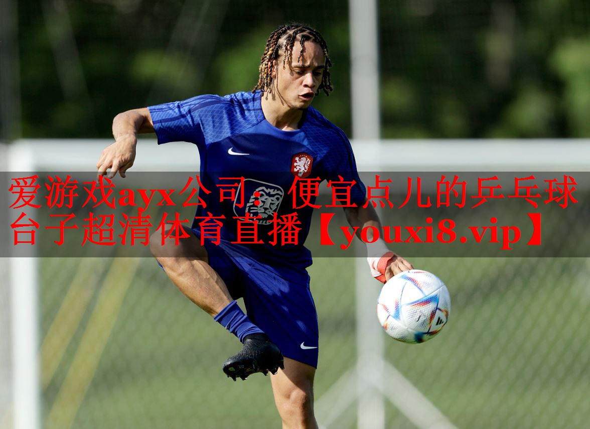 爱游戏ayx公司：便宜点儿的乒乓球台子超清体育直播