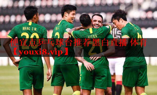 便宜点乒乓球台推荐黑白直播 体育