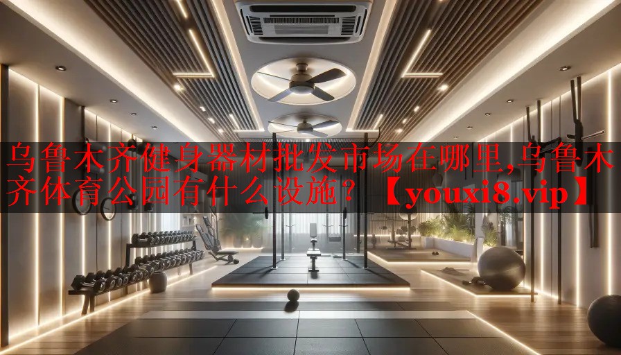 乌鲁木齐健身器材批发市场在哪里,乌鲁木齐体育公园有什么设施？