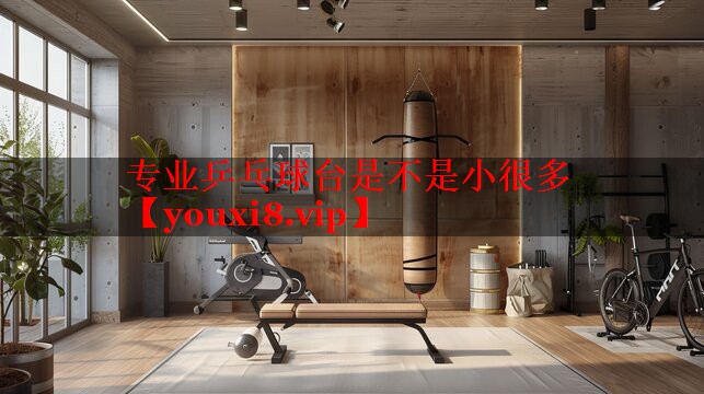 专业乒乓球台是不是小很多